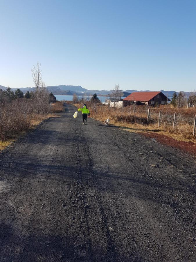 Thingvellir Lake Cottage Veithilundur Exterior foto